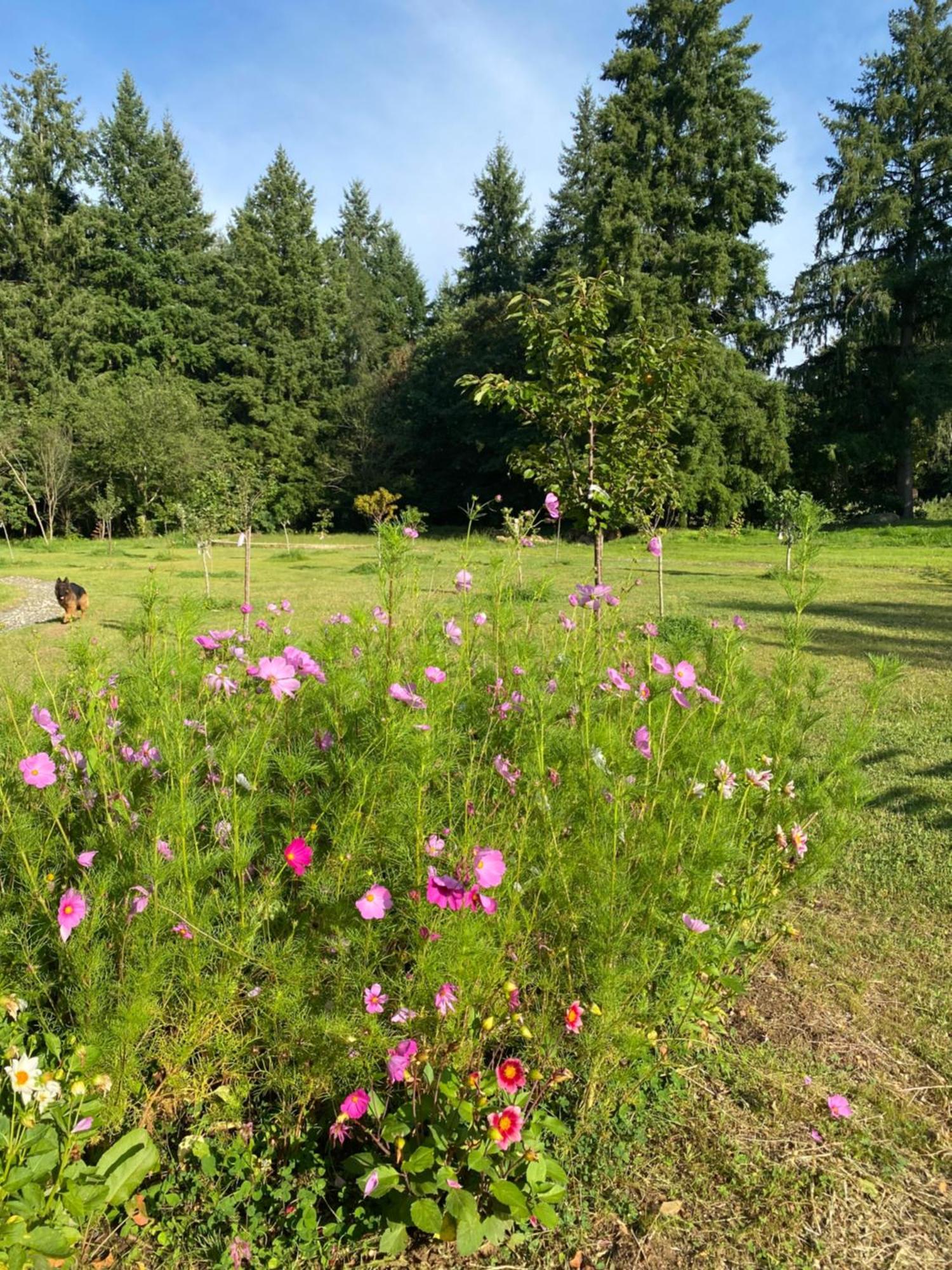 Maison Dans Parc Prive, Sports Et Loisirs Proche Golf Du Coudray Montceaux Le Coudray-Montceaux Esterno foto