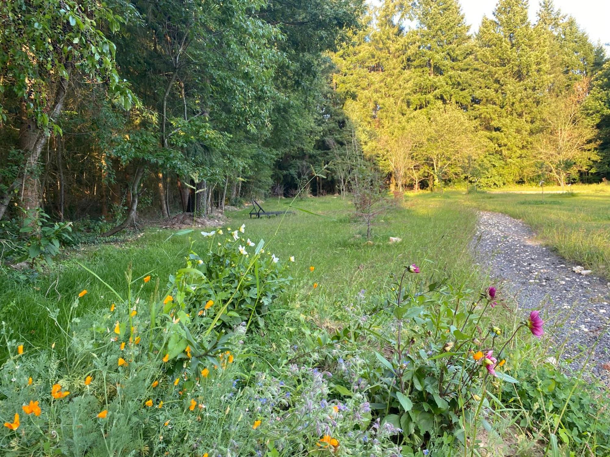 Maison Dans Parc Prive, Sports Et Loisirs Proche Golf Du Coudray Montceaux Le Coudray-Montceaux Esterno foto